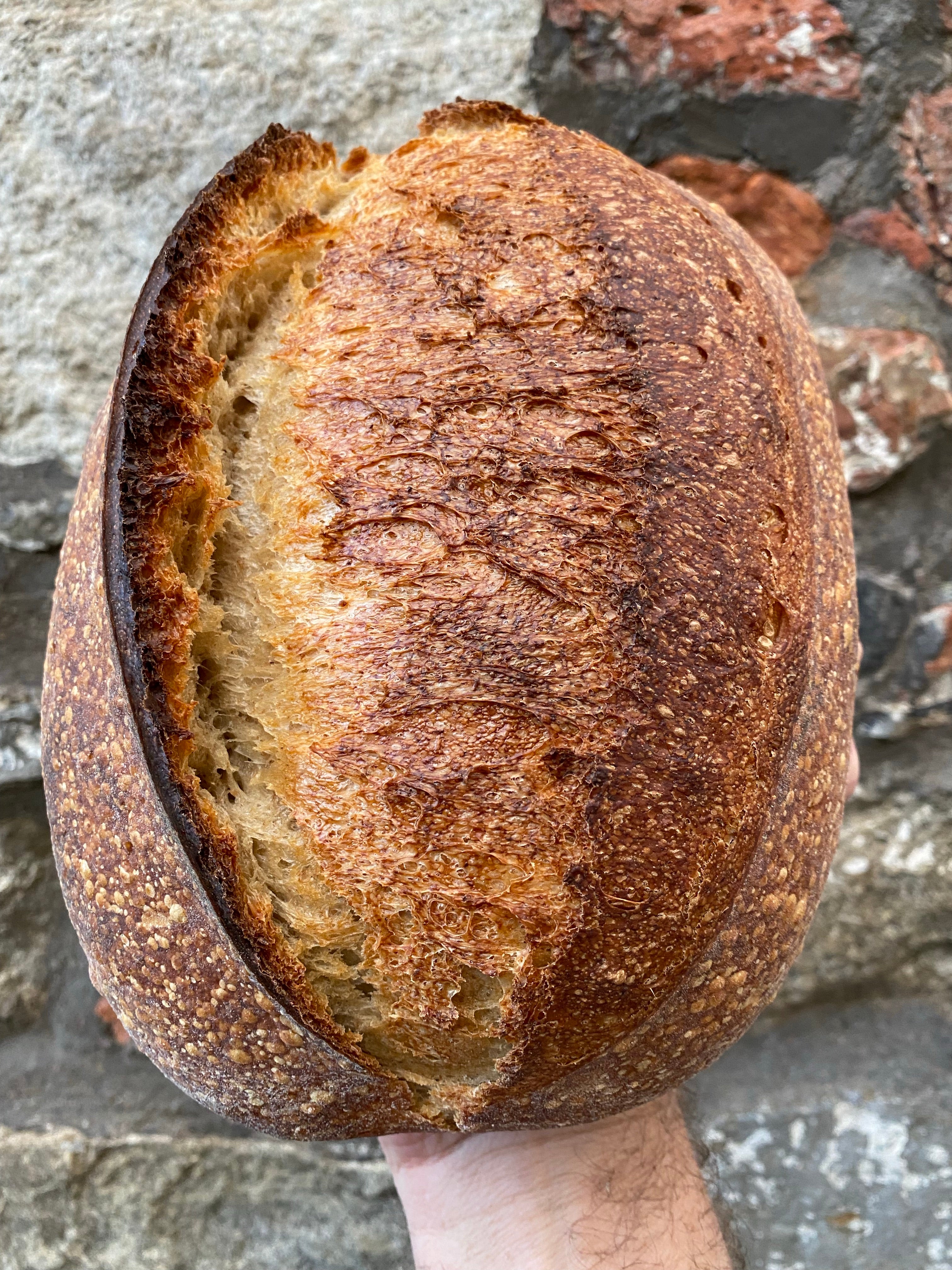 Country Sourdough (Large)