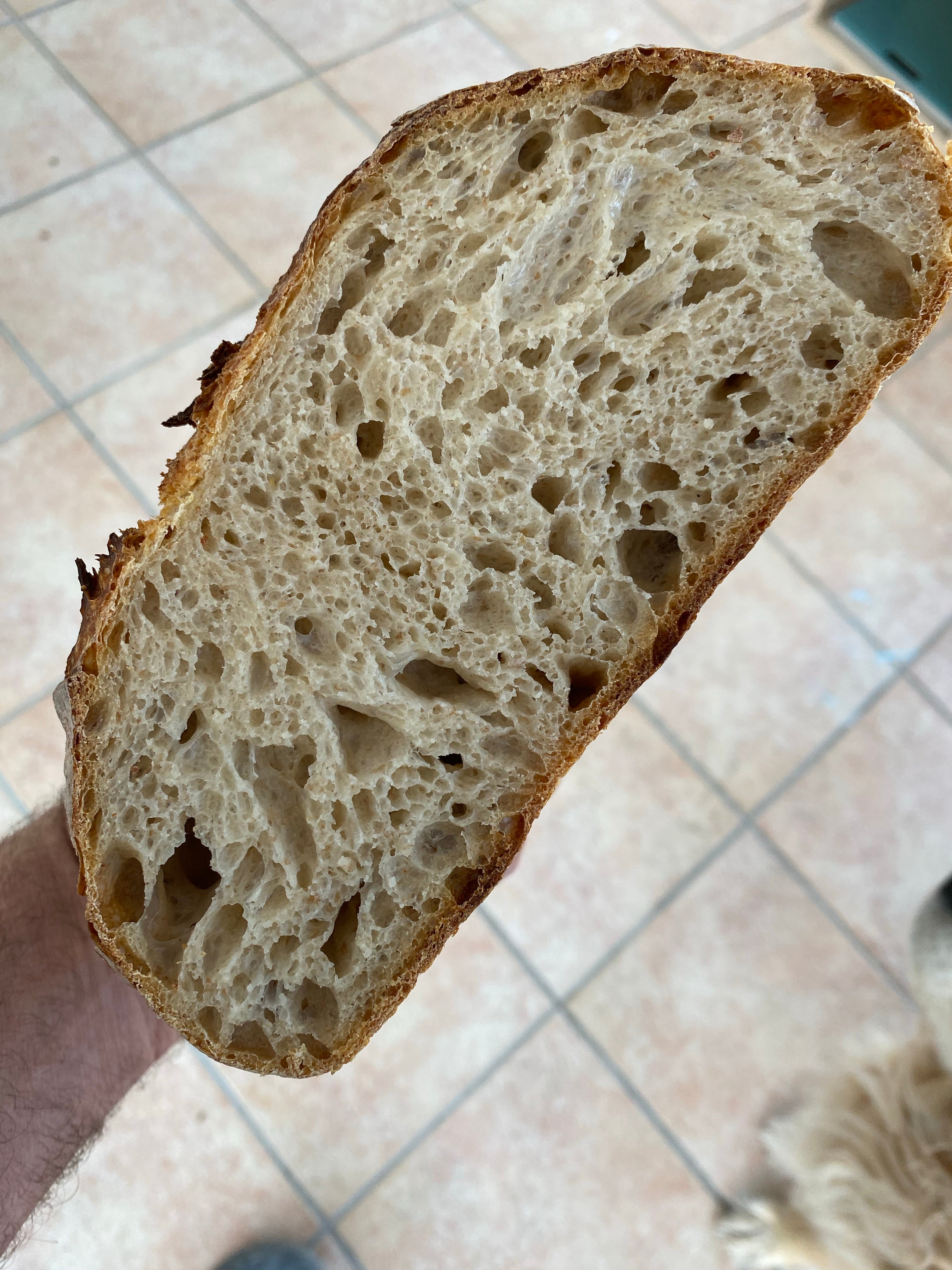Country Sourdough (Family Size)